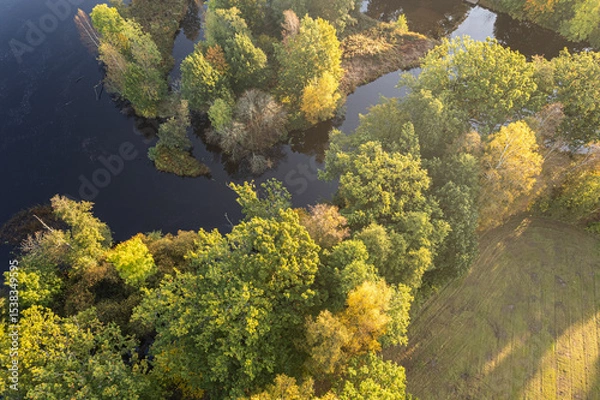 Fototapeta Beautiful view of colorful autumn trees and river on sunny day, aerial drone perspective