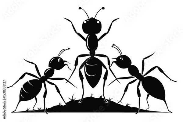 Fototapeta Three black ants on a small mound exhibit social interaction in silhouette