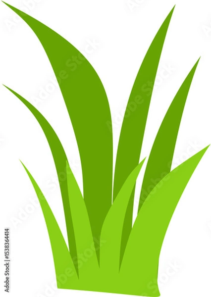 Obraz flat green grass