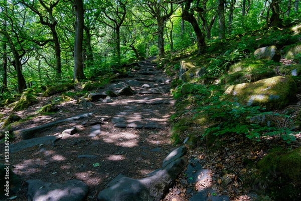 Fototapeta Gritstone rocks form steps up the steep slopes of Padley Gorge.