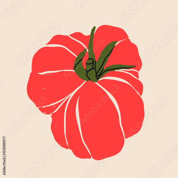 Fototapeta Fresh, juicy Tomato. Whole red ripe tomato. Top view. Hand drawn modern Vector illustration. Isolated design element. Healthy, natural food market concept. Logo, icon, print, poster, sticker template
