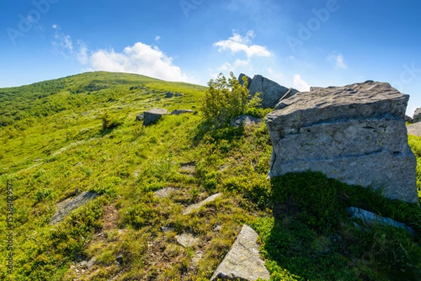 Fototapeta boulder on a hill under blue sky with clouds in summer. huge sandstone among the grass. path to the mountain top on a sunny morning