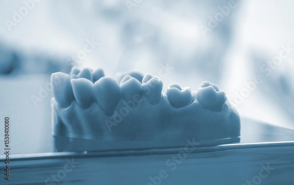Fototapeta Prototype of human jaw gums and teeth printed on 3D printer from hardened rubber. Model of human lower gum with teeth created on 3D printer from hardened rubber under influence of ultraviolet light.