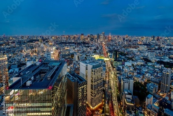 Fototapeta The night view of the bustling city