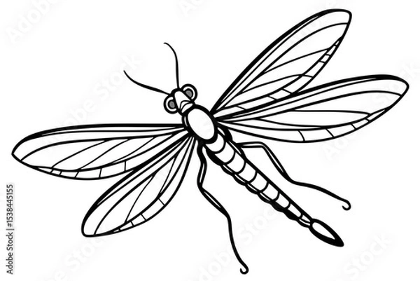 Fototapeta Simple Mayfly Line Drawing