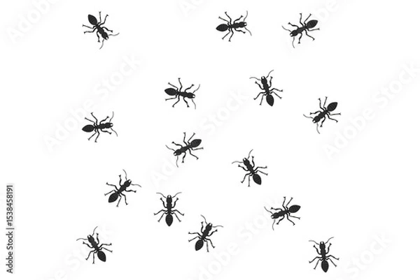 Obraz Set of ant Insect Insects ant ants emmet pismire banne.r Insect Insects ant ants emmet pismire banner Vector icon icons sign signs fun funny A line of worker workers ants marching search 