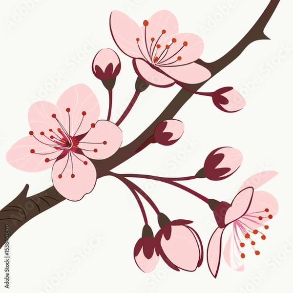 Obraz Pink cherry blossom branch: a beautiful floral design for spring