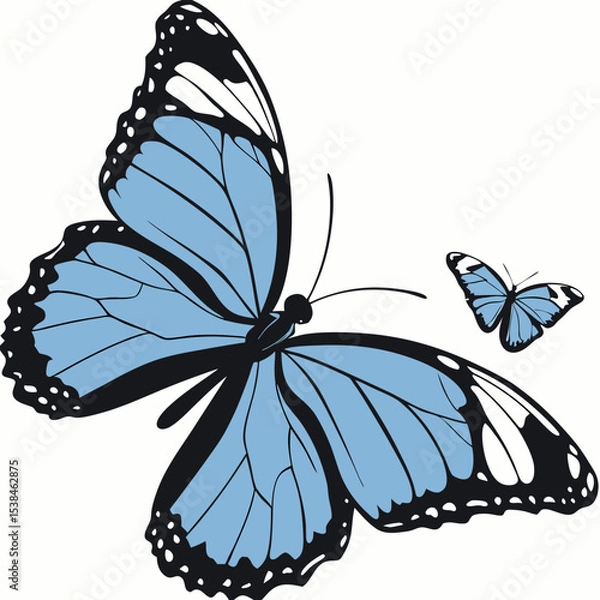 Obraz Beautiful swallowtail butterfly vector illustration on a white background, perfect for nature-inspired designs