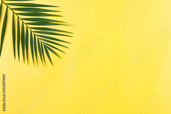 Obraz Vacation travel planning simple theme of palm leaves on uniform yellow background flat lay with copy-space