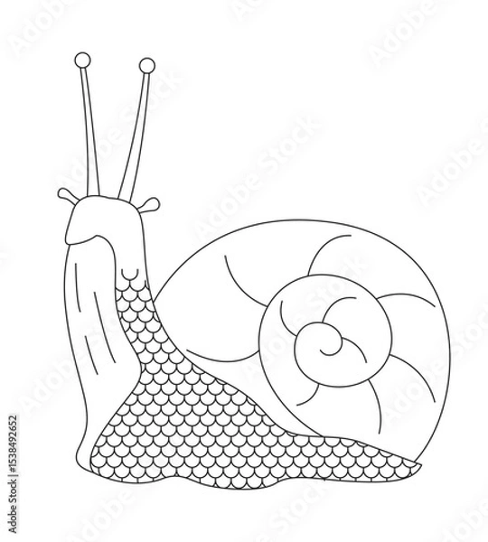Obraz Cute snail 2D line character. Spiral gastropod mollusk with antenna eyes. Mollusca shelled mascot. Whimsical slug shell isolated vector ink outline fantasy animal. Monochromatic spot illustration