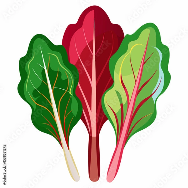 Fototapeta Colorful Swiss Chard Illustration A vibrant depiction of three Swiss chard leaves in green red and yellow showcasing their unique textures and colors against a