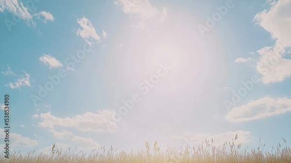 Obraz Stunning Landscape: Tall Grass Under a Bright Summer Sky - A Breathtaking View of Nature's Serenity