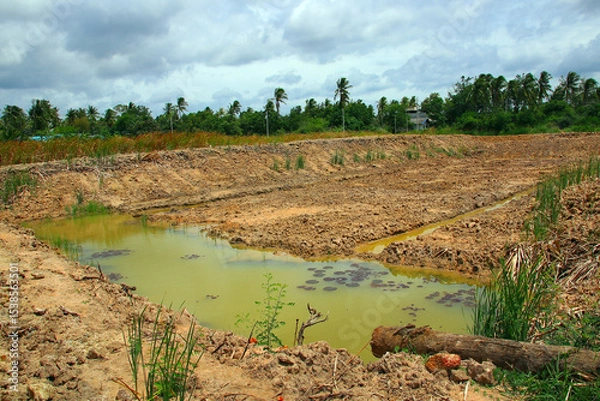 Fototapeta A newly dug pond to store water for agricultural use is partially filled after a light rain, surrounded by dry soil and tall grass, under a cloudy sky.