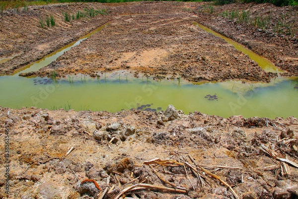 Fototapeta A pond dug for water storage has green, still water with scattered aquatic plants. View from the edge of the pond during the day under dry weather conditions.