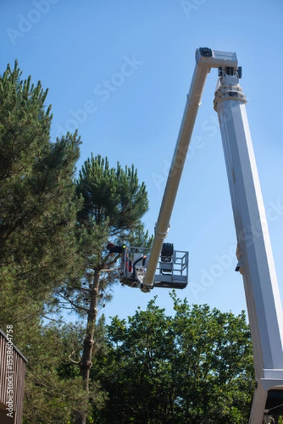 Obraz Professional lumberjack at work on an aerial work platform