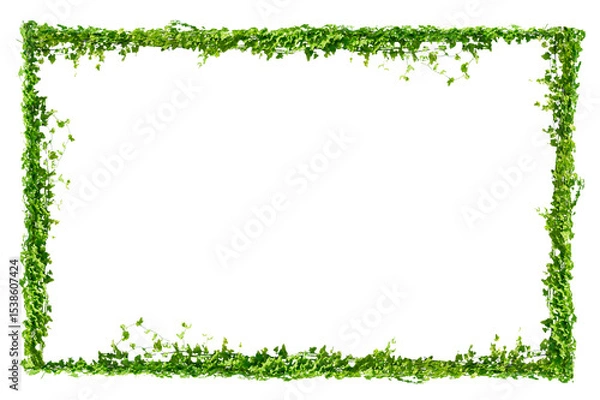 Obraz vine frame leaf vine circle Isolate on transparent background PNG file