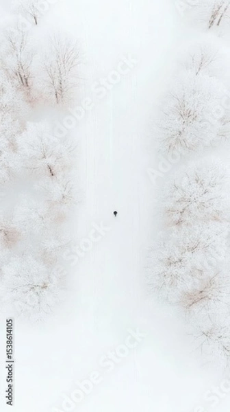 Obraz Solitary figure walking through snowy winter forest with frost-covered trees