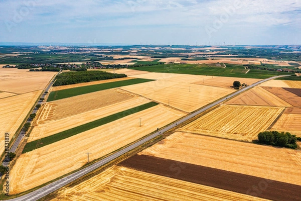 Fototapeta A bird's-eye view of grain fields in Rheinhessen