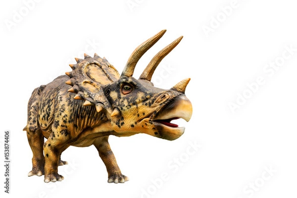 Fototapeta Dinozaur triceratops i model potwora Izolowane białe tło