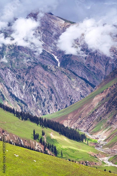 Obraz Landscape with mountains and clouds.  Horizontal view, Kashmir valley in the Himalayan region. Serene meadows, alpine trees, and wildflowers on the trails of the Great Lakes of Kashmir, 2021, India.