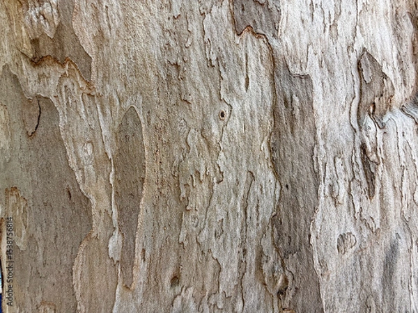 Fototapeta Close-up of textured tree bark with natural patterns and shades of brown. The surface shows grooves and irregularities, highlighting the organic structure.