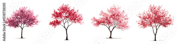 Obraz Blooming pink cherry blossom trees in spring