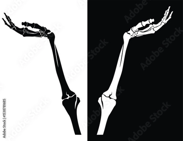 Obraz human skeleton hand holding empty space or showing suggestion gesture - limb bone structure black and white vector design set
