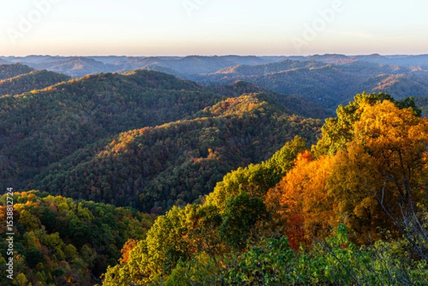 Obraz Forest Mountains in Autumn