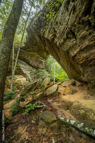 Obraz Rock Arch in Forest