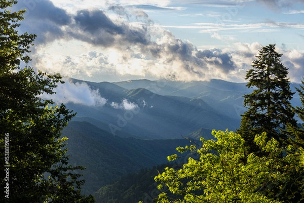 Obraz Mountains Cover with Forest