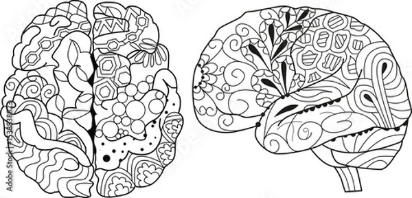 Fototapeta Brain images in zentangle style for coloring. Decorative unusual ornaments.