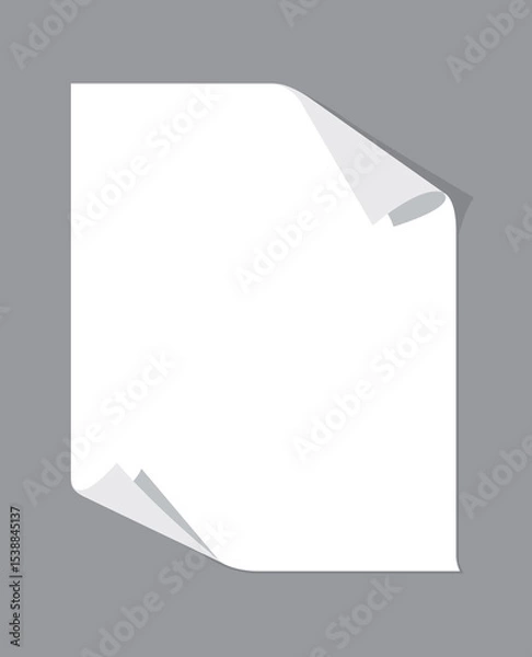 Fototapeta Blank curled paper on gray background, clean template for design, mockup, or presentation projects with copy space.