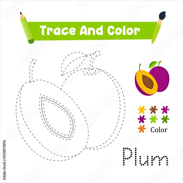 Fototapeta Handwriting Practice. Trace And Color The Plum Which Is Perfect. Vector Illustration