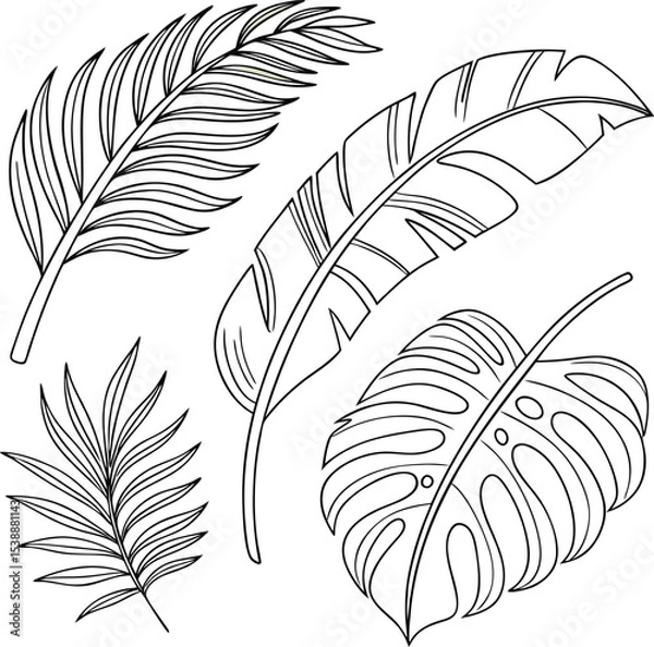 Obraz Decorative seamless feather patterns and vector illustrations featuring diverse bird, leaf, and vintage quill designs for nature-inspired art and design projects