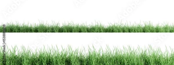 Fototapeta grass isolated on white background