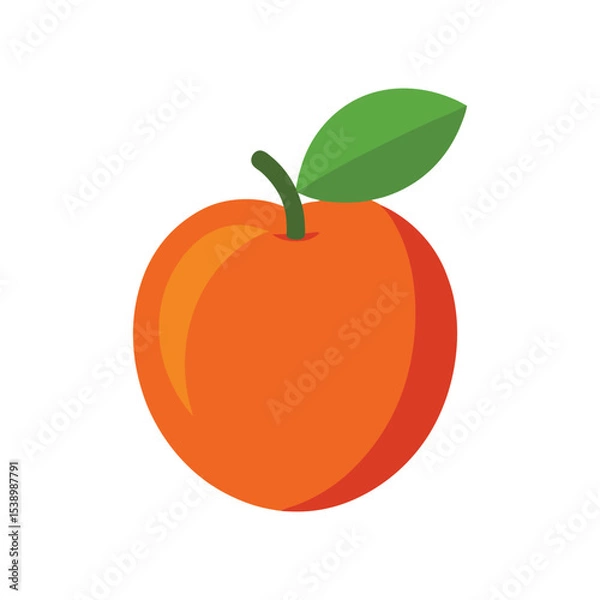 Fototapeta Fresh nectarine fruit with inner seed Vector illustration on white background