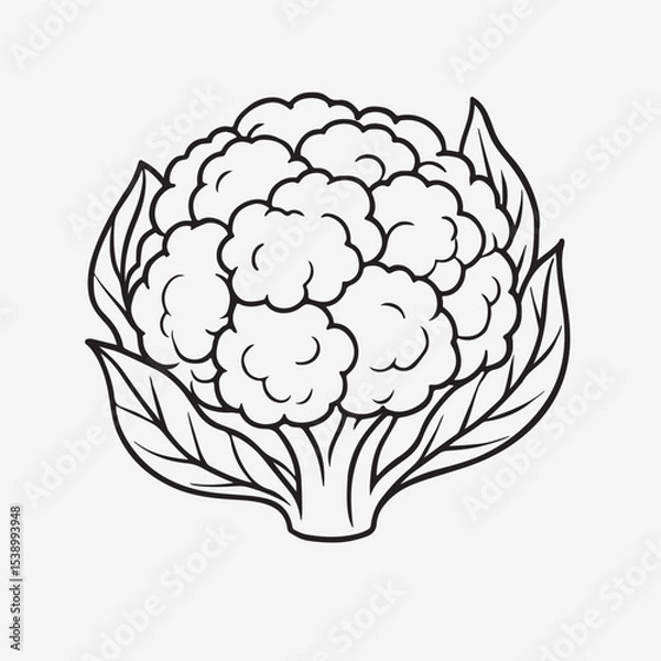 Obraz Minimalist cauliflower icon, clean single-line art. Simple, bold outline of a cauliflower head, abstract and geometric. Consistent line weight, no internal details. Centered, isolated on a white backg