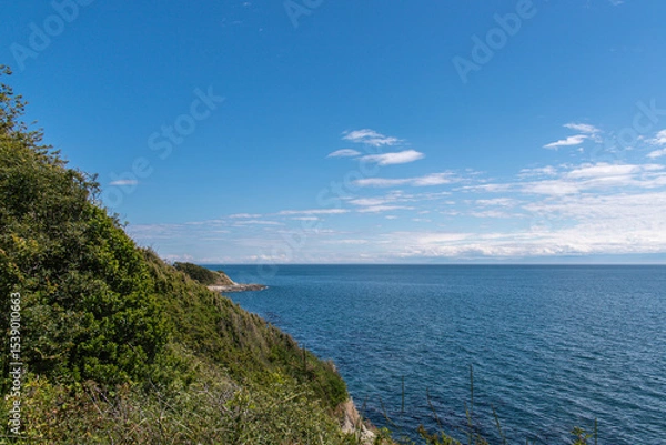 Fototapeta Scenic view of the Pacific Ocean from a verdant cliffside near Clover Point in Victoria BC, Canada, on a clear summer day.
