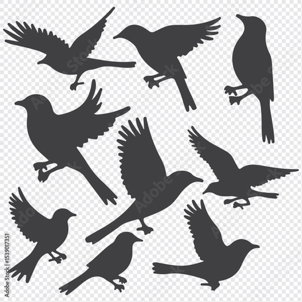 Obraz silhouettes of birds vector. bird silhouette vector illustration, perfect for logo design, art projects, and graphic design.