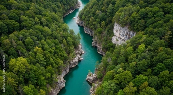 Fototapeta Aerial View of Turquoise River Winding Through Lush Green Forest Gorge