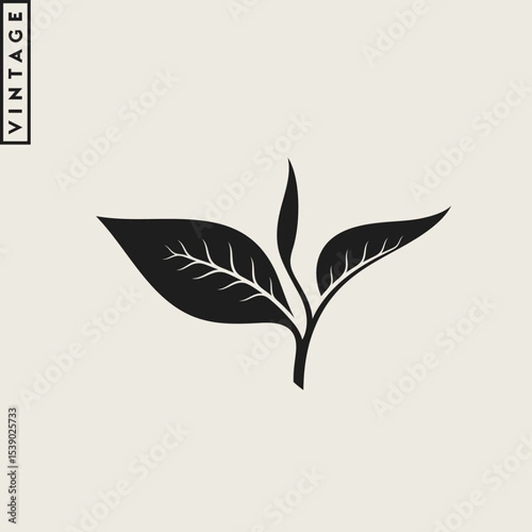 Obraz Black tea vector. Vintage style branch with leaves 