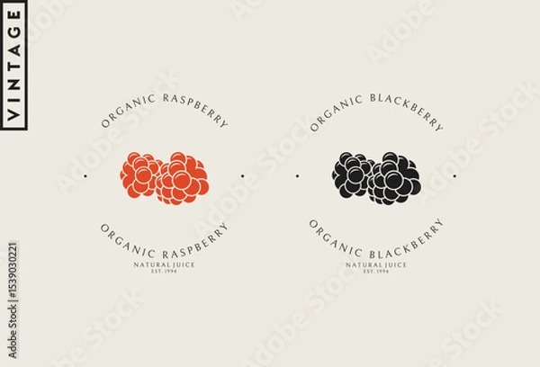 Obraz Raspberry and blackberry logo vector. Organic food