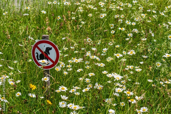 Fototapeta A small sign stands in a colorful flower field, clearly showing a dog with a red crossed-out circle, politely warning visitors to keep the area clean and free of dog waste.