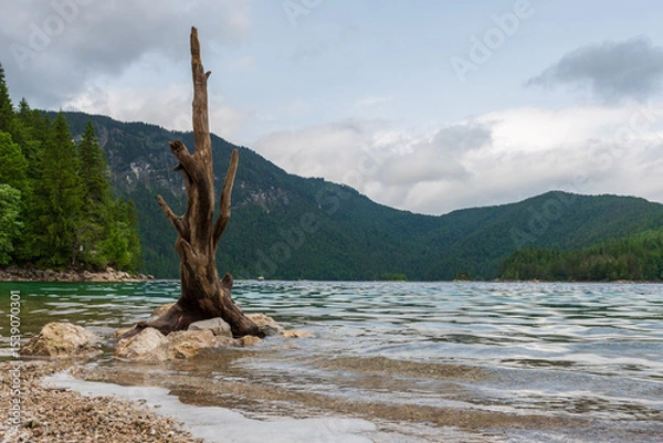 Fototapeta A serene alpine lake with crystal-clear turquoise water mirrors the snow-capped Zugspitze and pine-covered hills. Rowboats glide gently under a clear blue sky—pure alpine tranquility.