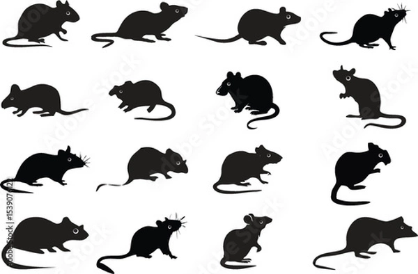 Fototapeta Rat or Mouse silhouettes on white. Symbol of resourcefulness, intelligence, and adaptability. Chinese culture, cleverness and ingenuity icon. Reuse in kids video games, poster or banner. eps 10