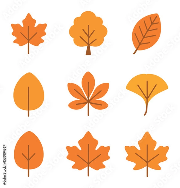 Fototapeta Autumn Leaves Icon Set. Flat icon set of autumn tree types and leaves: maple leaf, beech leaf, elm leaf,