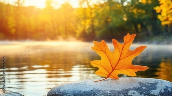Fototapeta Vibrant Autumn Leaf on Rock by Calm Water at Sunrise