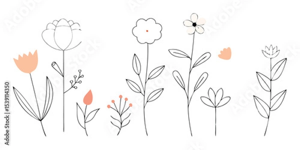 Fototapeta Hand-drawn floral elements in a simple, elegant style, perfect for summer vacation illustration set, showcasing delicate blooms.