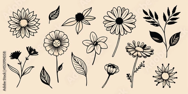Fototapeta Hand-drawn floral vector illustration set of various flowers and leaves in a minimalist aesthetic perfect for creating a summer vacation illustration set