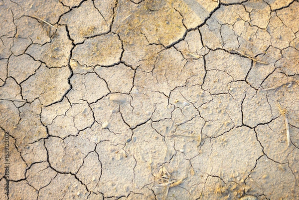 Fototapeta Brown background of dried clay soil with deep cracks at sunset. Barren land without water. Inhospitable nature with earth patterns with small stones